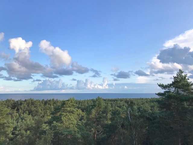 Widok z wieży Widok z wieży