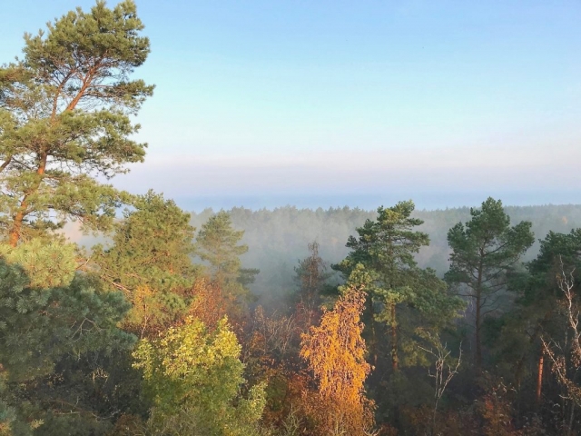 Poranek na wieży Poranek na wieży